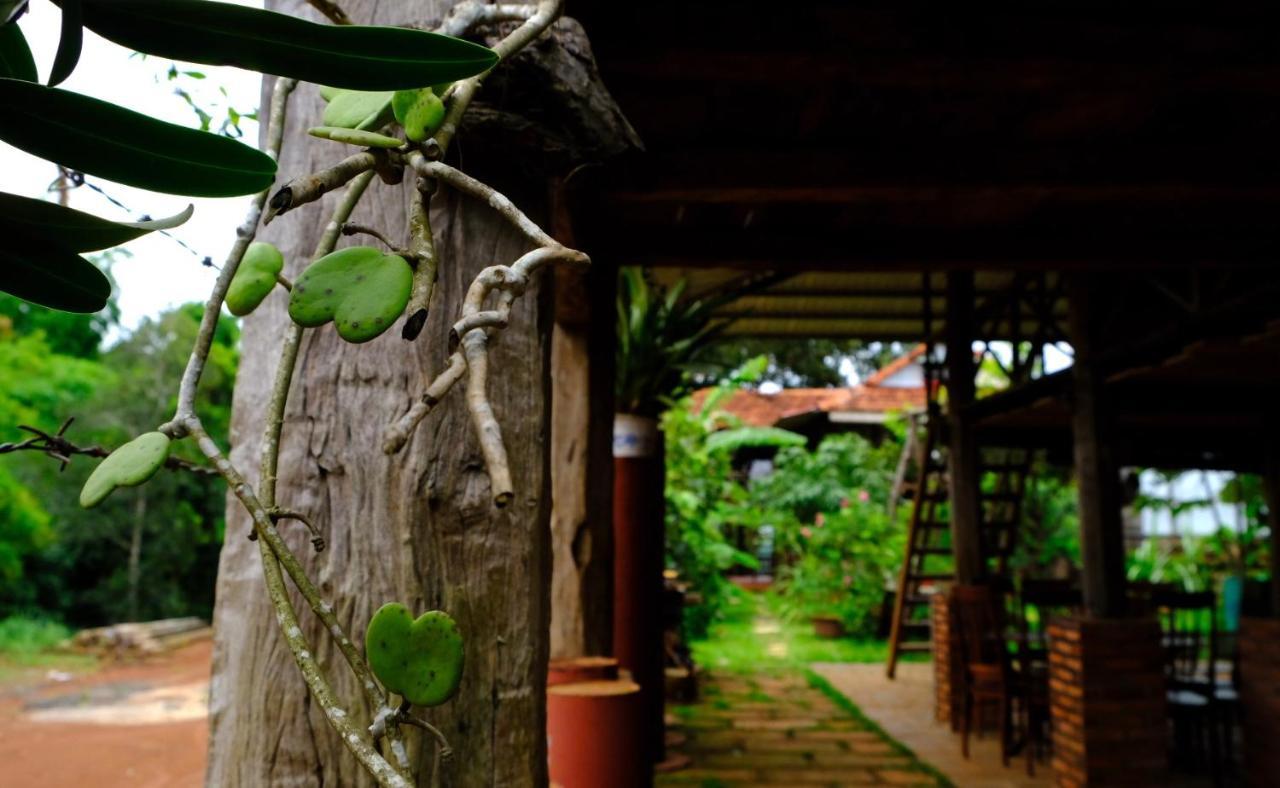 Plei Homestay & Cafe Plây Ku Exterior foto